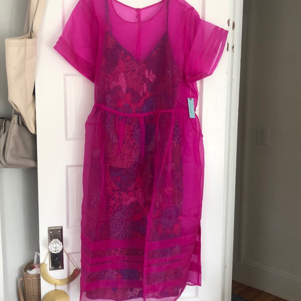 Anthropologie A plus pink sheer dress NWOT